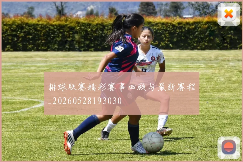 排球联赛精彩赛事回顾与最新赛程_20260528193030